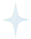 Decorative star